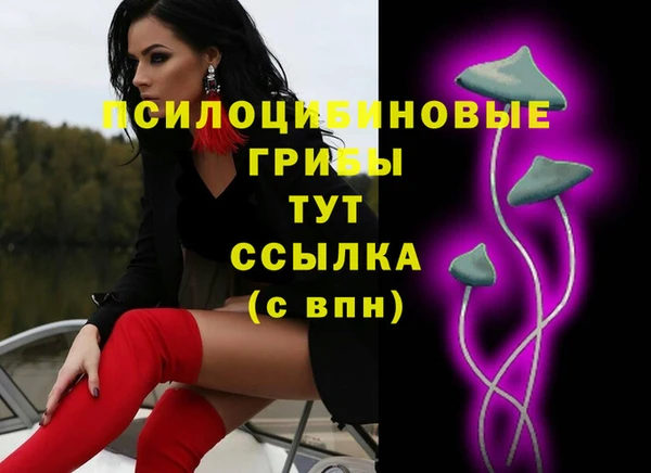 гидра Алексеевка