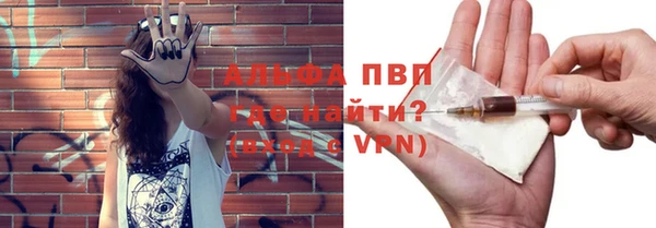 гидра Алексеевка