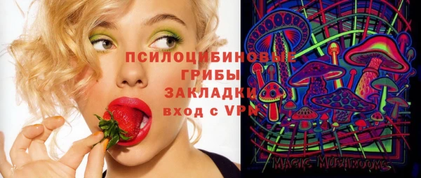 винт Алзамай